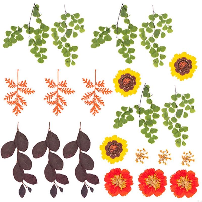 수지 금형 스크랩북 쥬얼리 비누 캔들 만들기용 말린 압 - Art And Craft Nature 리뷰 및 가격