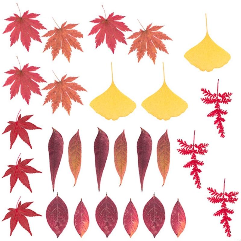 수지 금형 스크랩북 쥬얼리 비누 캔들 만들기용 말린 압 - Art And Craft Nature 리뷰 및 가격